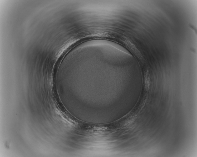X0000101970484200808011134