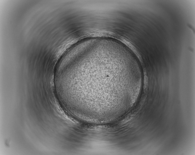 X0000101970485200808011134