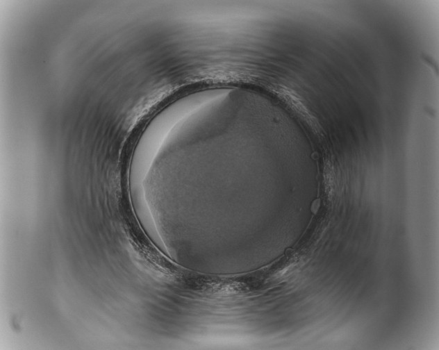 X0000101970488200808011134