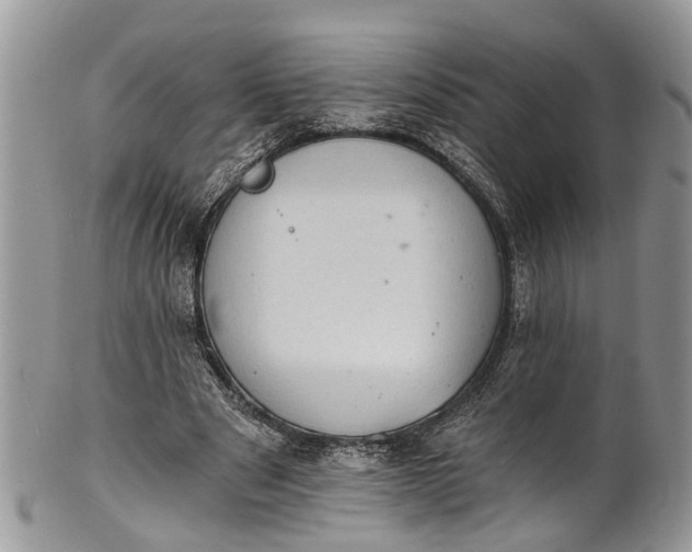 X0000101970489200808011134