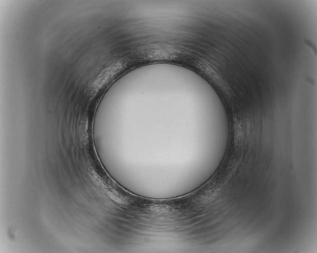 X0000101970490200808011134