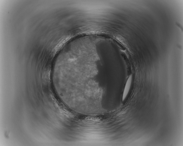 X0000101970491200808011134