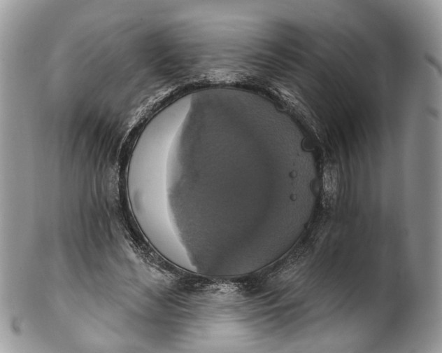 X0000101970492200808011134