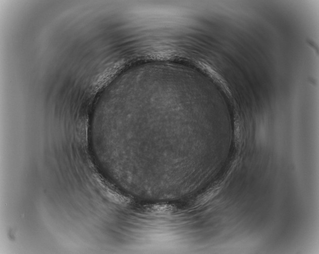 X0000101970493200808011134