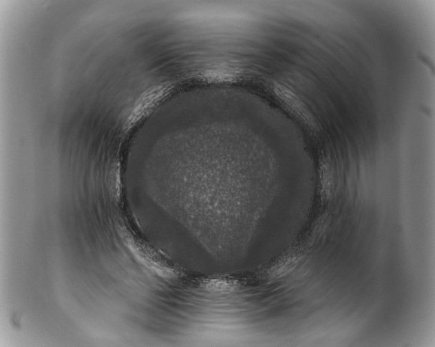 X0000101970494200808011134