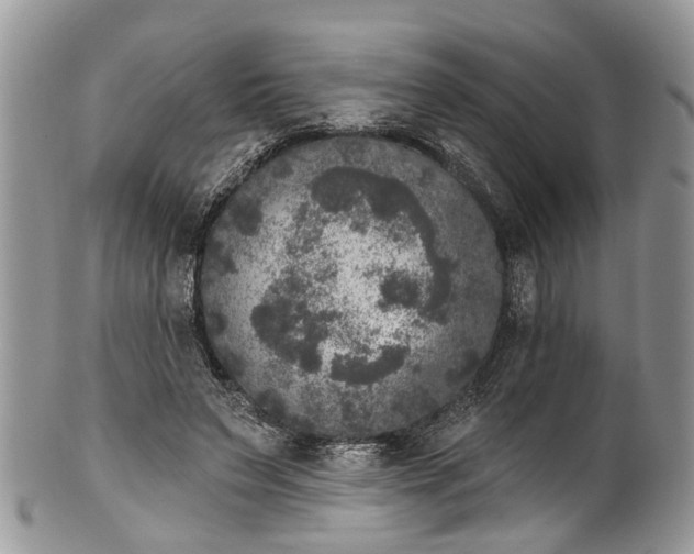X0000101970495200808011134