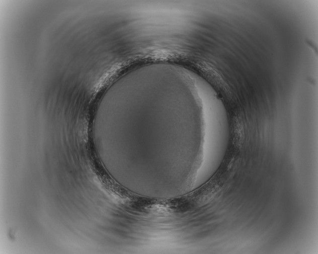 X0000101970496200808011134