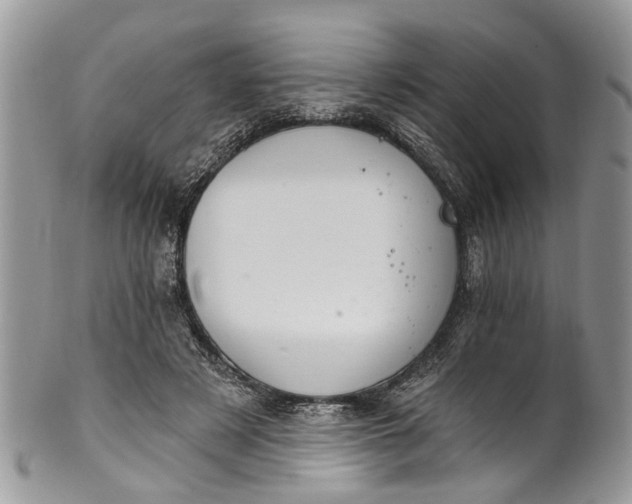 X0000101970497200808011134