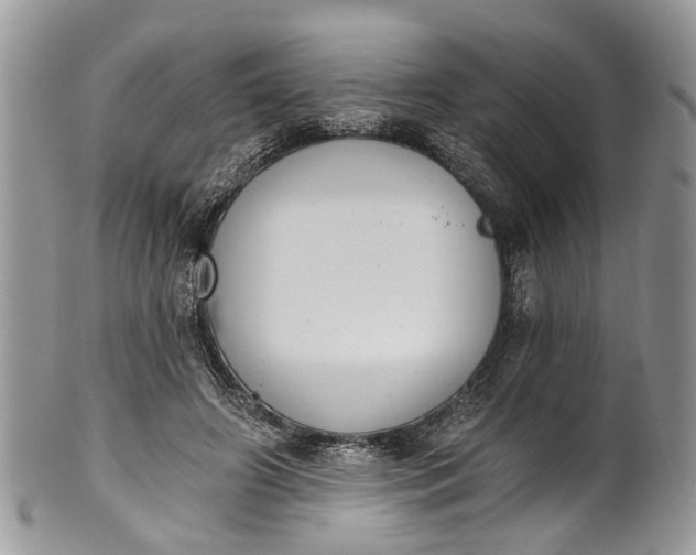 X0000101970498200808011134