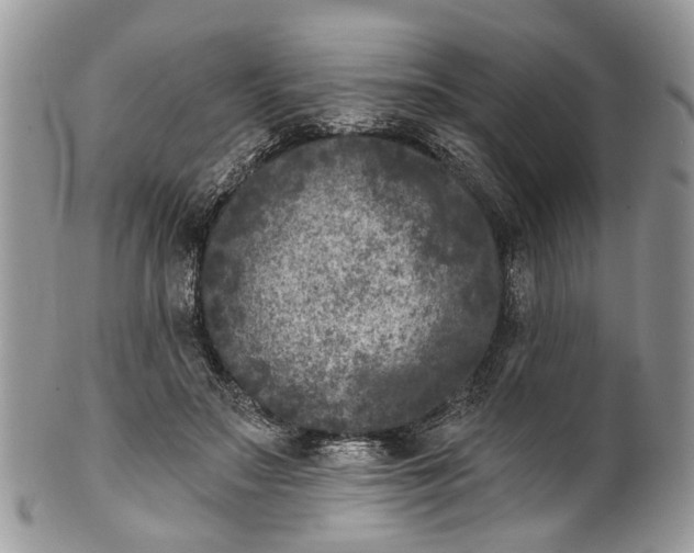 X0000101970499200808011134