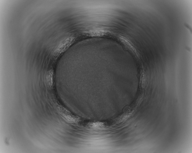 X0000101970501200808011134