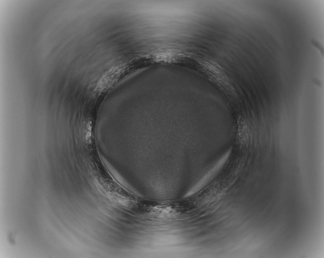 X0000101970502200808011134