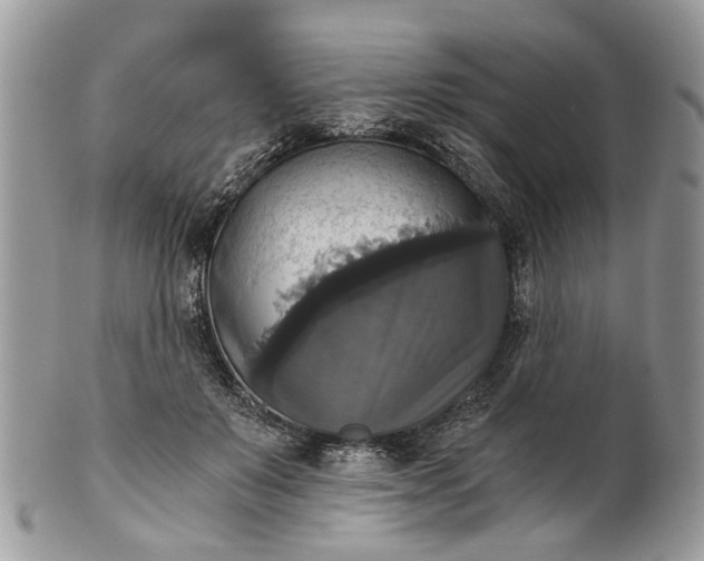 X0000101970503200808011134