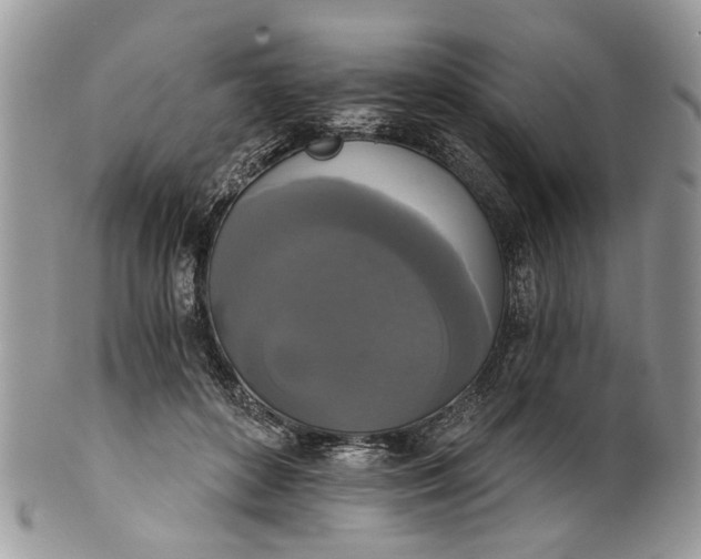 X0000101970504200808011134