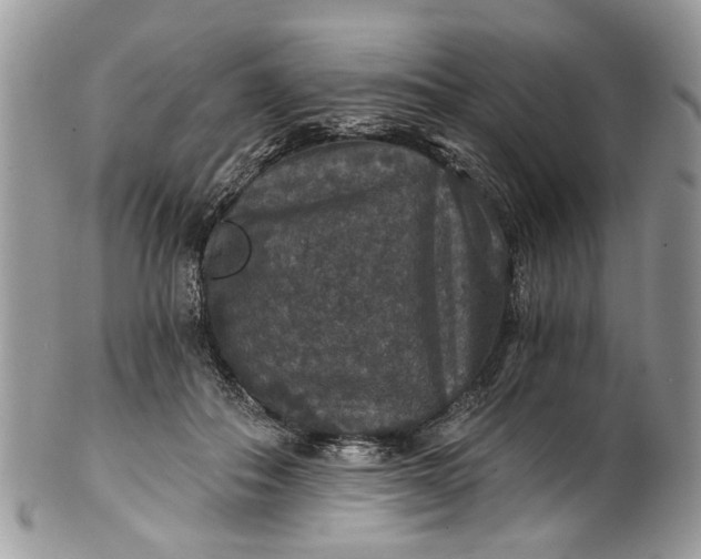 X0000101970506200808011134