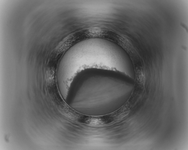 X0000101970507200808011134