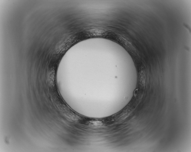 X0000101970509200808011134