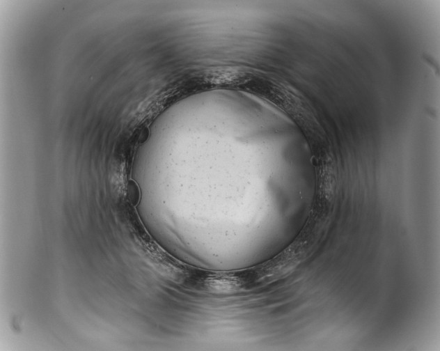 X0000101970510200808011134