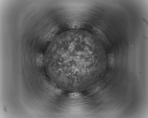 X0000101970511200808011134