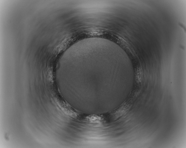 X0000101970512200808011134