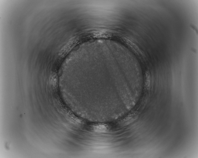 X0000101970513200808011134