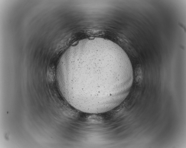 X0000101970515200808011133