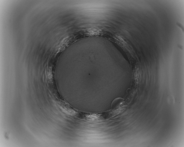 X0000101970516200808011133