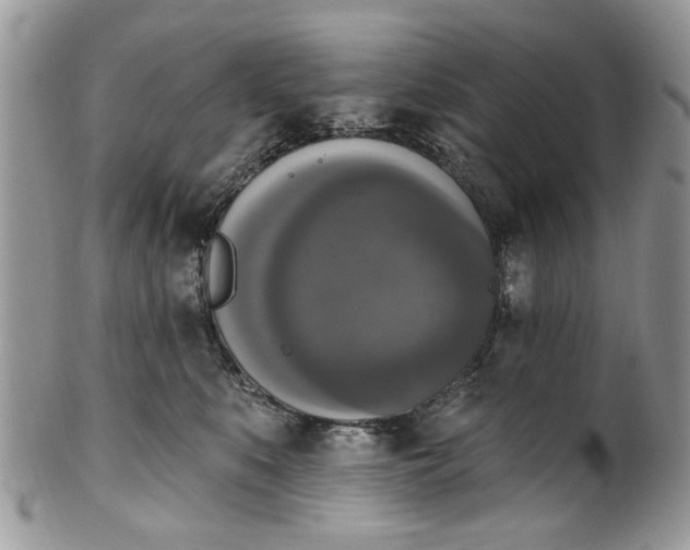 X0000101970519200808011133