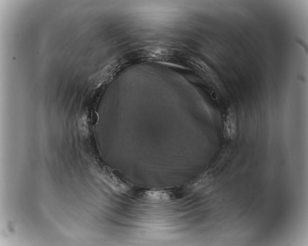 X0000101970520200808011133