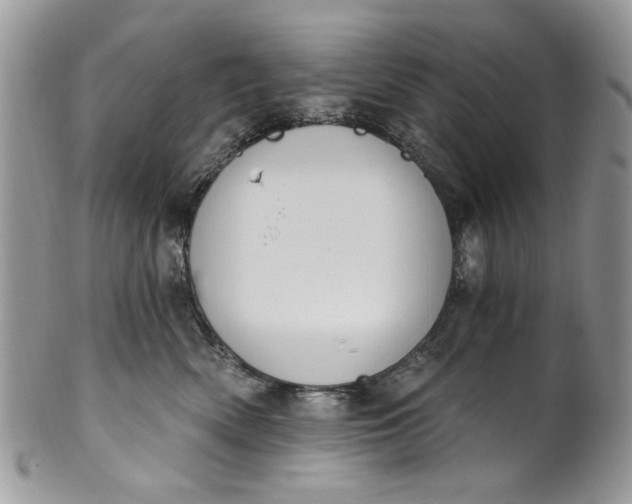 X0000101970522200808011133