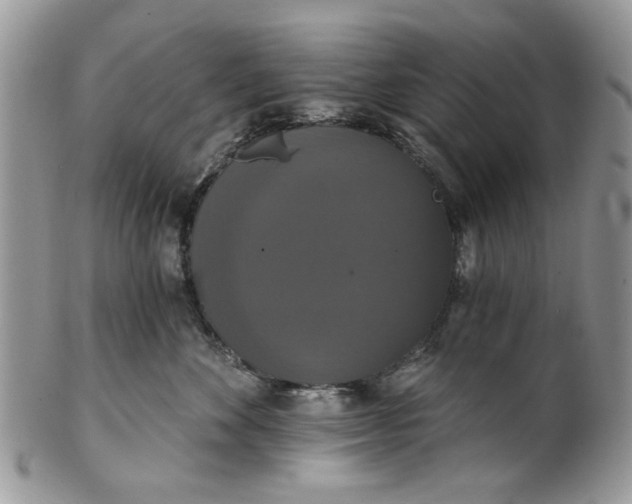 X0000101970524200808011133