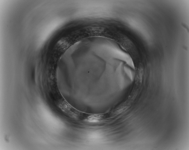 X0000101970526200808011133