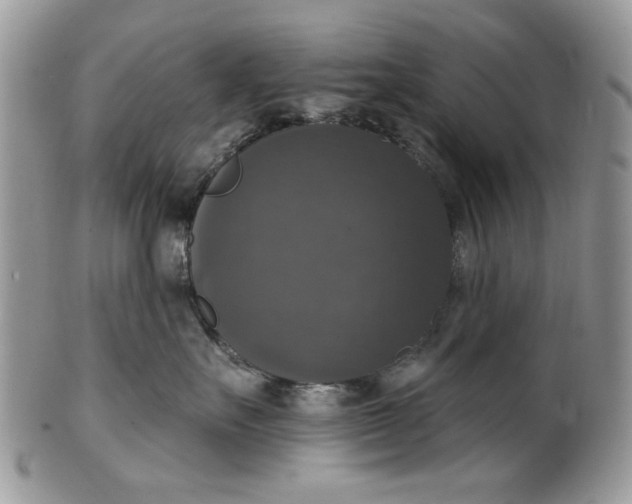 X0000101970527200808011133