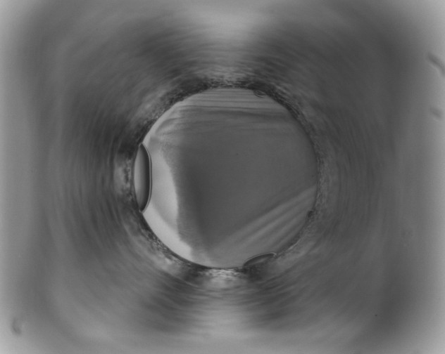 X0000101970528200808011133