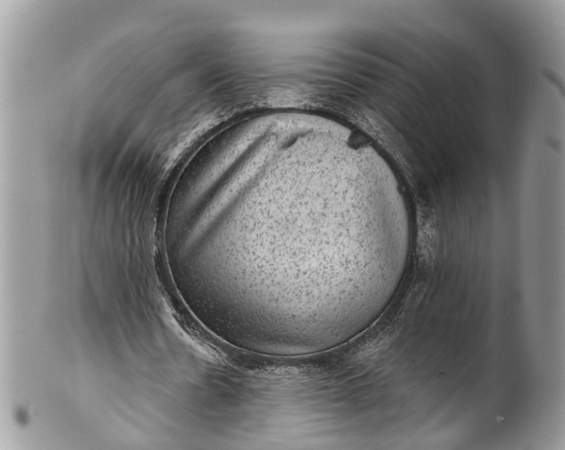 X0000101970530200808011133