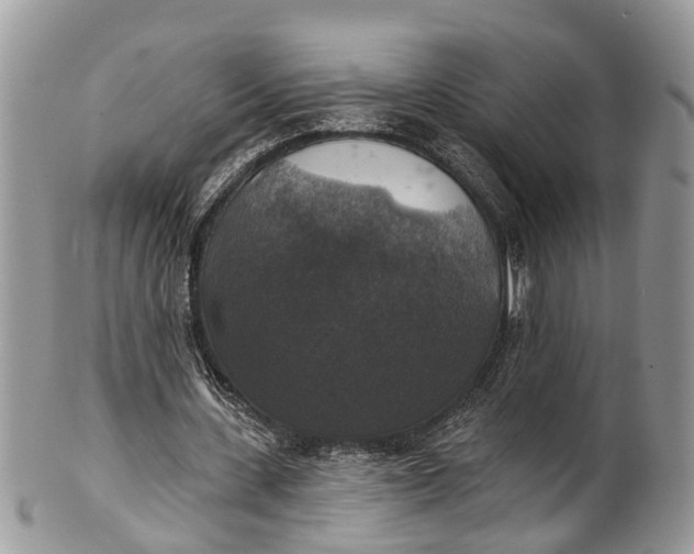 X0000101970531200808011133