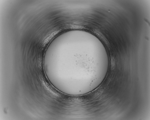 X0000101970533200808011133