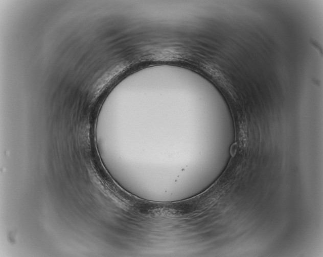 X0000101970535200808011133
