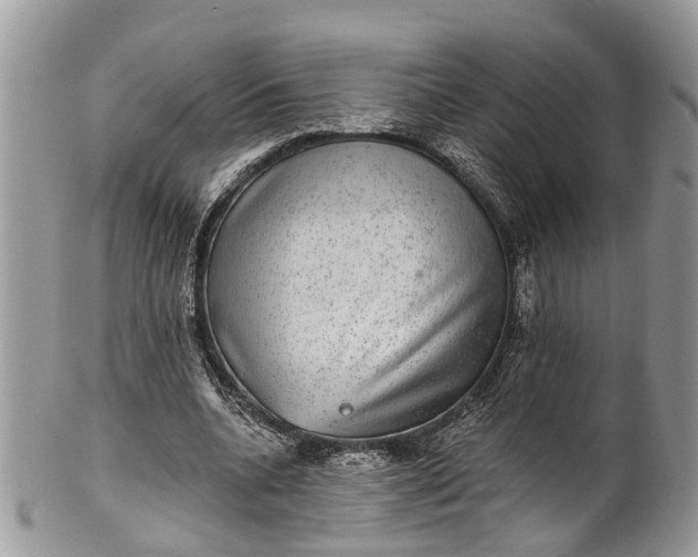 X0000101970536200808011133