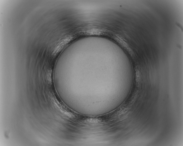 X0000101970537200808011133