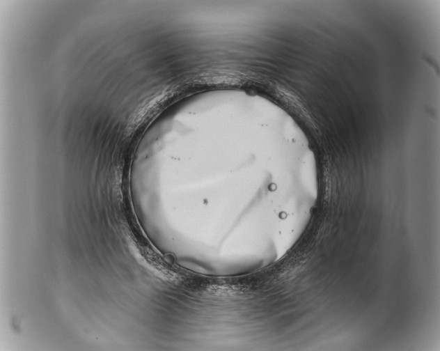 X0000101970538200808011133