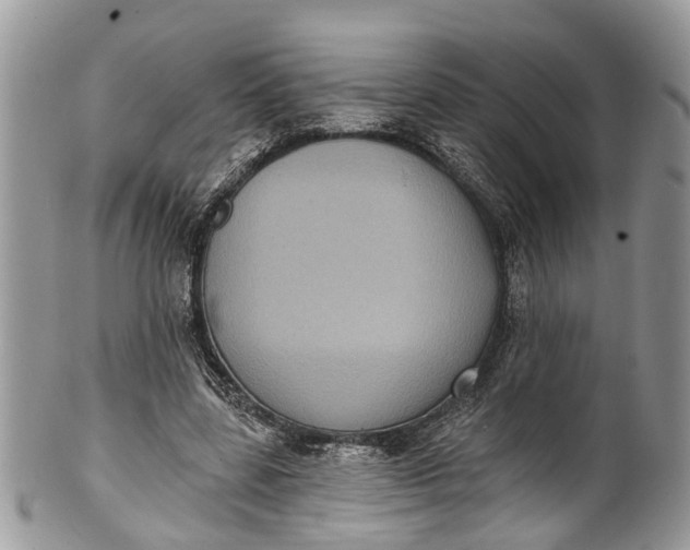X0000101970539200808011133
