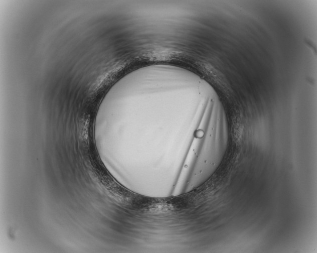 X0000101970543200808011133