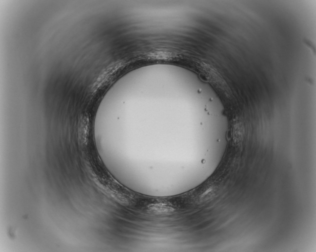 X0000101970544200808011133