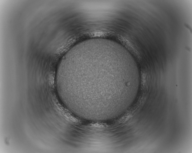 X0000101970545200808011133