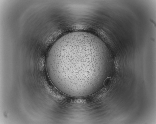 X0000101970546200808011133