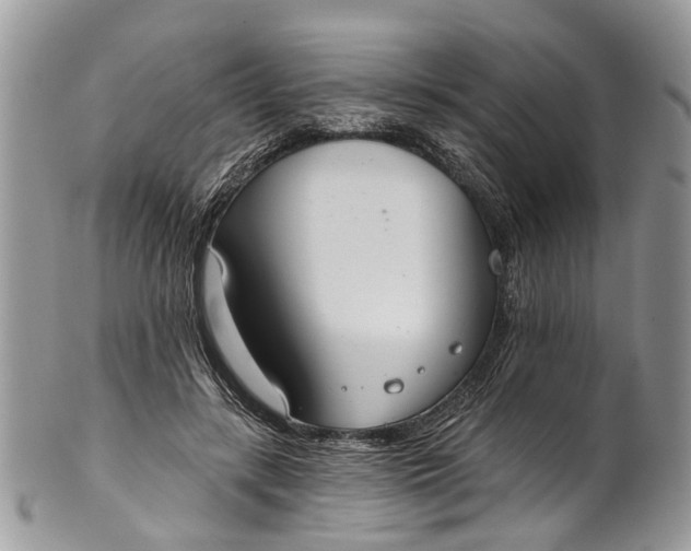 X0000101970547200808011133