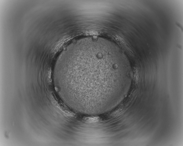 X0000101970548200808011133