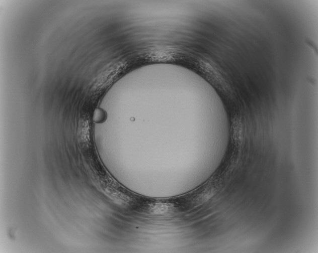 X0000101970549200808011133