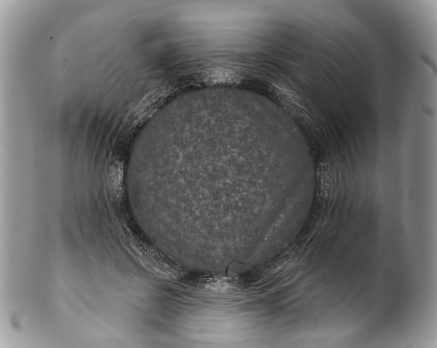 X0000101970550200808011133